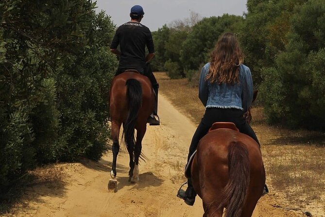 Horseback riding with private transfer - The Horses: More Than Just a Vehicle for Photos