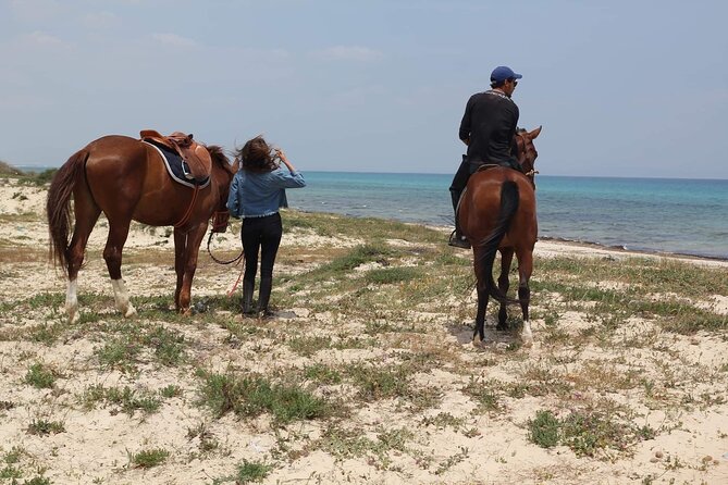 Horseback riding with private transfer - What You Can Expect During the Ride Itself