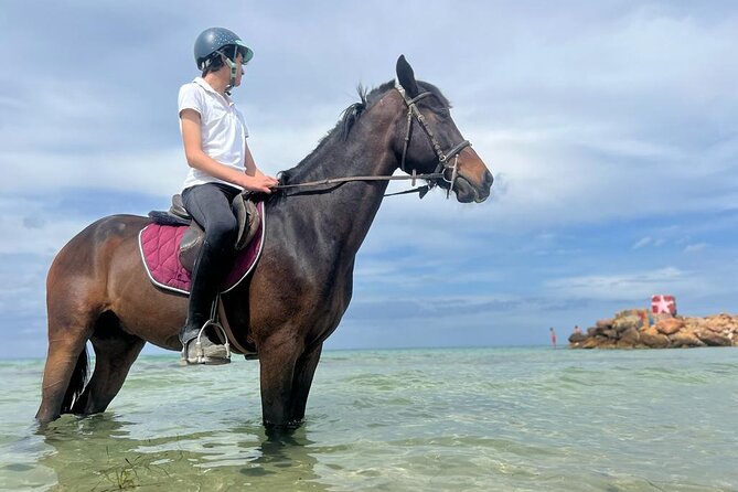 Horseback riding with private transfer - Price and Value: Is $62.72 Reasonable for What You Get?