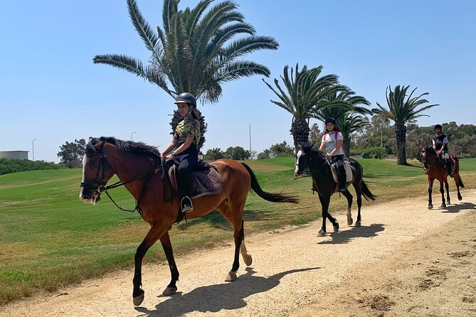 Horseback riding with private transfer - Who This Ride Suits Best in Monastir