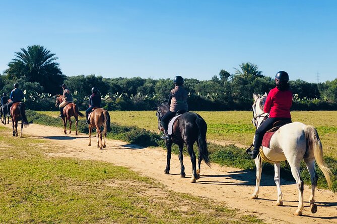 Horseback riding with private transfer - Private Transfer and the True Meaning of the 3-Hour Timing