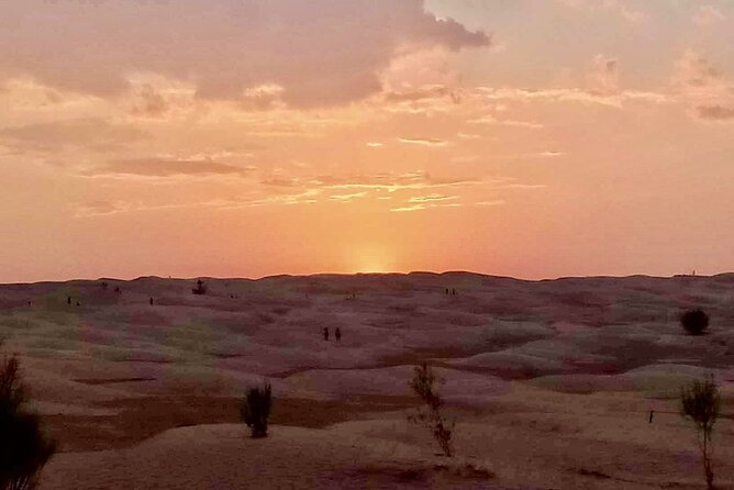 Ksar Ghilaine and Chneni Tataouine 1 day tour in Tunisia - Key highlights you should care about