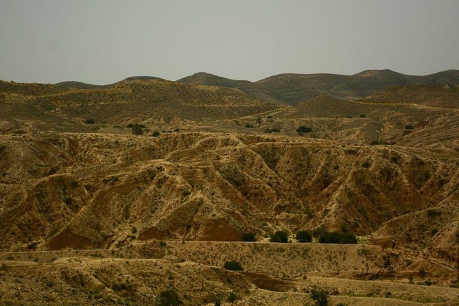 Ksar Ghilane 1 day: The hot spring and the homestay - Key highlights you will feel all day