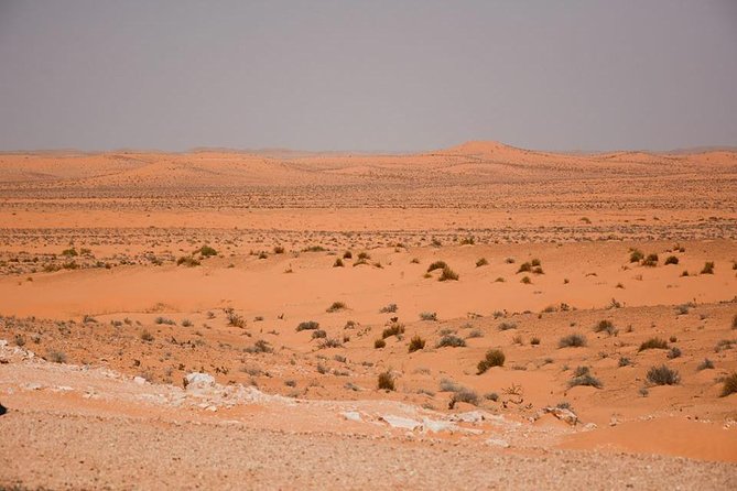 Ksar Ghilane 1 day: The hot spring and the homestay - Stop 1, Ksar Ghilane: hot spring time and desert dunes