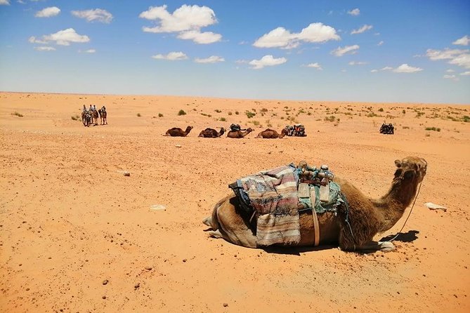 Ksar Ghilane 1 day: The hot spring and the homestay - Hotel Sidi Idriss: troglodyte hotel and a Star Wars setting
