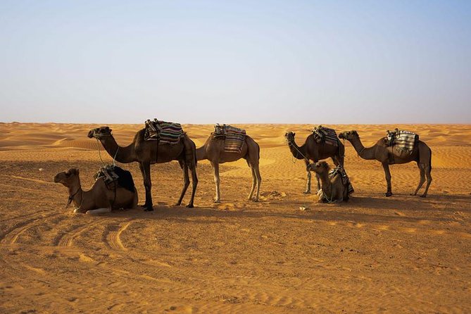 Ksar Ghilane 1 day: The hot spring and the homestay - Escale de Toujane: a photo break that still matters