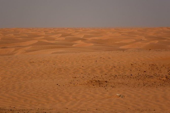 Ksar Ghilane 1 day: The hot spring and the homestay - How the day runs, from early start to return