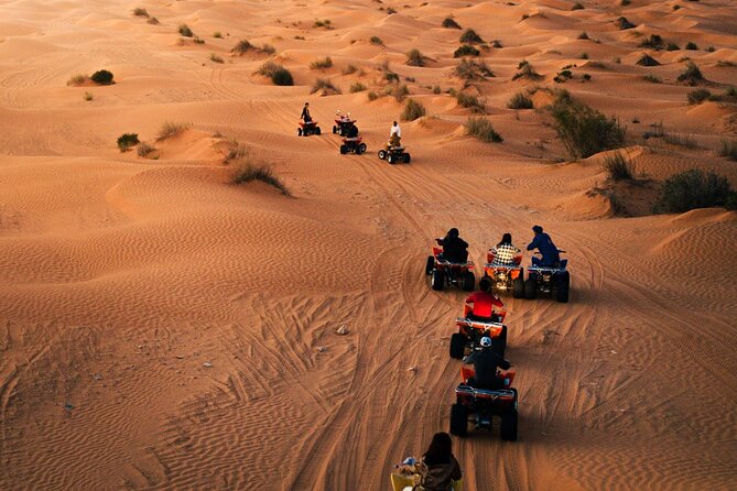 Night Under Tent 2 Day Excursion Ksar Ghilane - The guides and drivers: why this tour rate stays near perfect