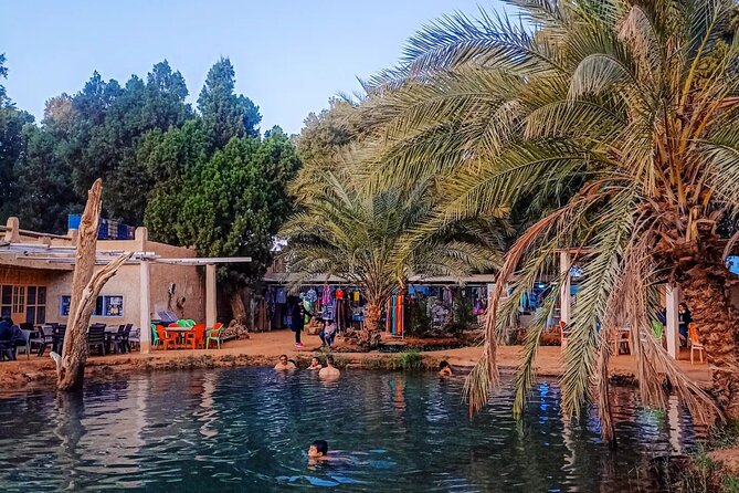 Night Under Tent 2 Day Excursion Ksar Ghilane - Ksar Ghilane oasis: hot springs, camel or quad options, and Roman fort ruins