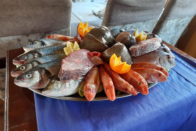 North Africa Tour Bizerte Cape Angela and Ichkeul Unesco park - Cap Angela: the northernmost point of continental Africa, with picnic potential