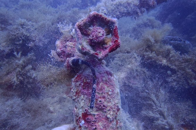 Octopus Rock Exploration - Certified Diver - Key Things I’d Plan for Before You Go