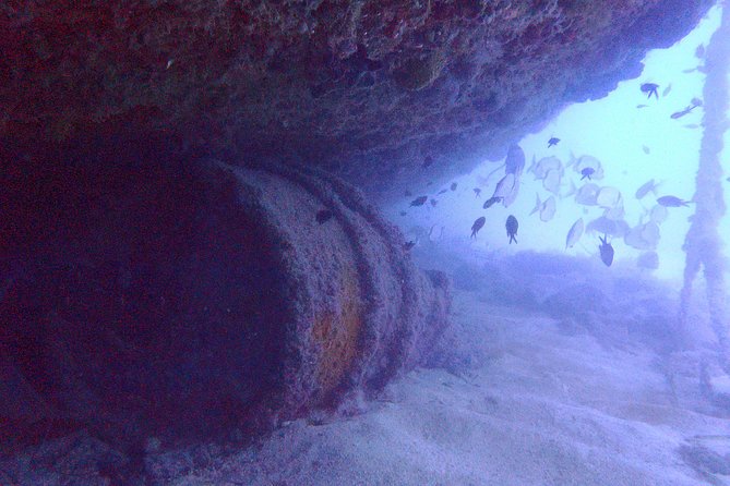 Octopus Rock Exploration - Certified Diver - Octopus Rocks in Djerba: The Point of This 16-m Site