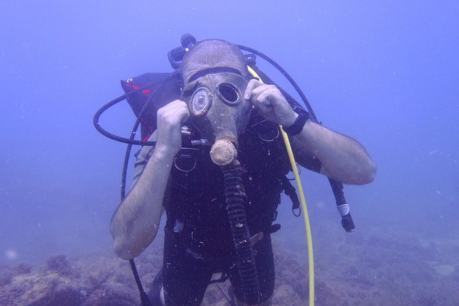 Octopus Rock Exploration - Certified Diver - What You Do Before the Water: Docs, Gear, and Briefing
