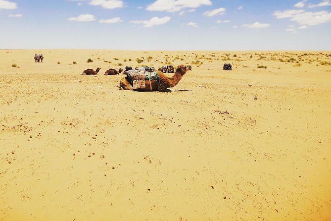 One night under the tent: Tataouine - Chenini - Ksar Ghilane - Matmata - Two Days, Three Desert Worlds: Reg, Erg, and Chott
