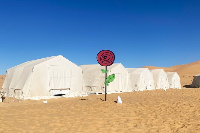 Overnight Tunisia Sahara Desert Safari by 4x4 from Douz - Price and Value: Why $290 Can Make Sense for an Overnight 4x4 Trip