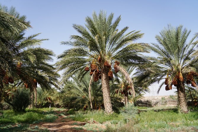 Private 3 Day Tour in Southern Tunisia or More - Who should book this tour in southern Tunisia, and who should think twice