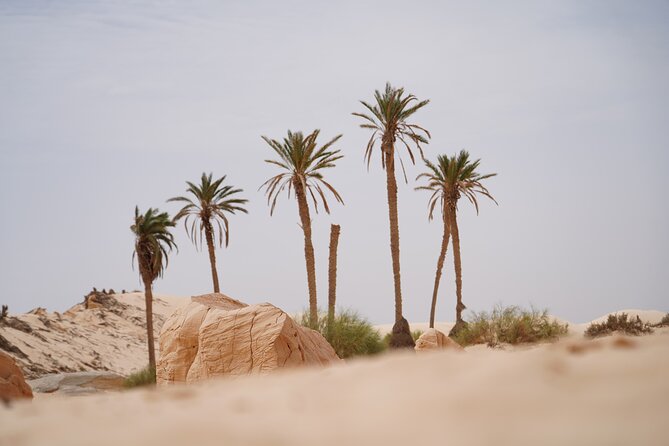 Private 3 Day Tour in Southern Tunisia or More - Should you book this private southern Tunisia 3-day tour?