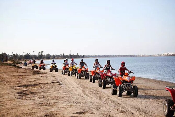 Private 3h00 quad ride on the island of Djerba - Key highlights you will feel right away