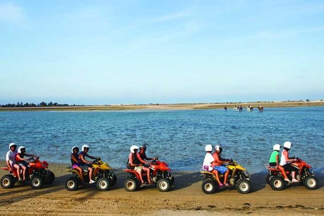 Private 3h00 quad ride on the island of Djerba - The first act: olive trees, palm groves, and the road-to-trail mix