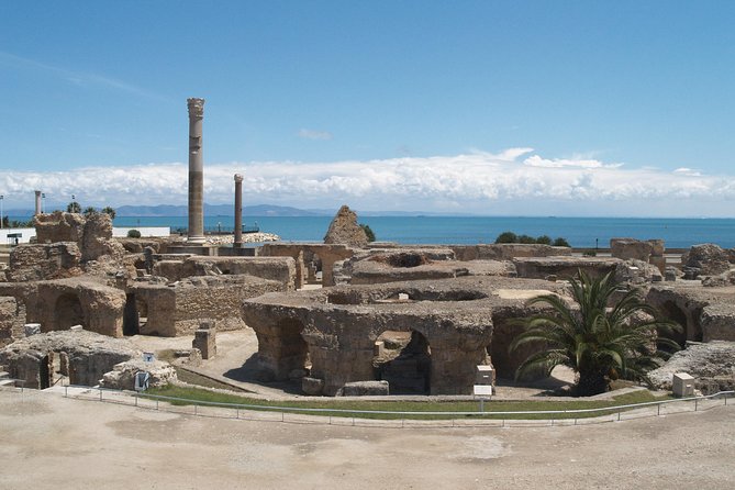 Private Day Tour Tunis Medina Carthage Sidi Bou Said Bardo Museum - Private Tunis in One Day: Carthage, Sidi Bou Said, Medina, and Bardo