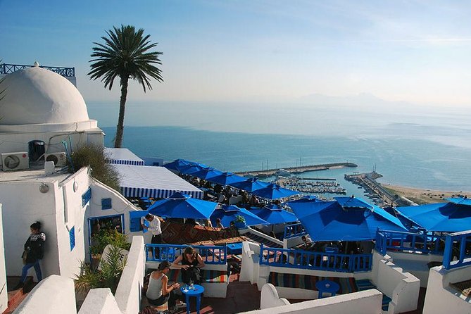 Private Day Tour Tunis Medina Carthage Sidi Bou Said Bardo Museum - Price, group size, and what you’re actually paying for