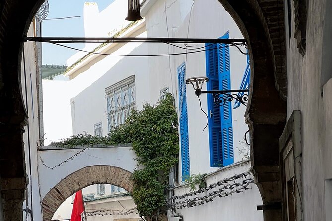 Private Day Tour Tunis Medina Carthage Sidi Bou Said Bardo Museum - Transportation comfort and what to expect inside the car