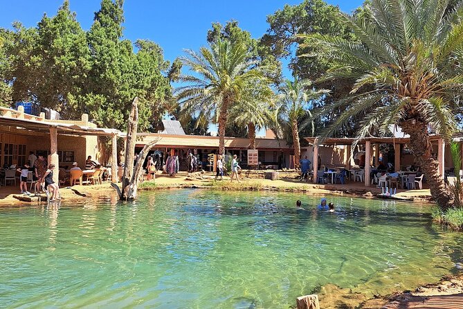 Private Day Trip Ksar Ghilane Oasis - Key things to know before you go