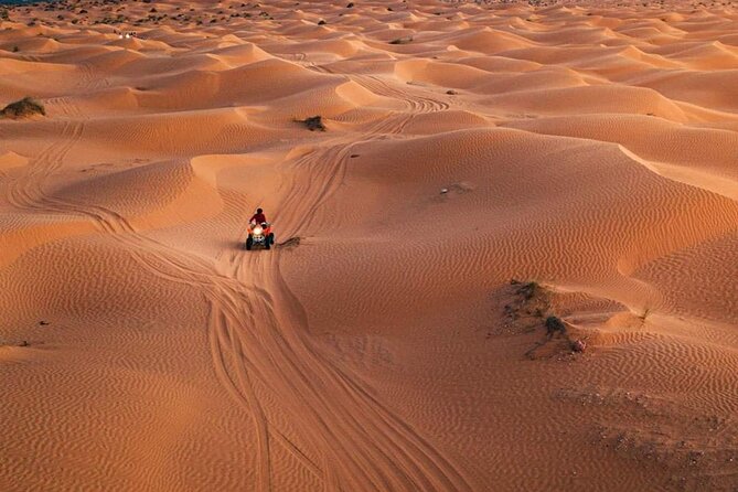 Private Day Trip Ksar Ghilane Oasis - How Good Value Works in a $133.76 Private Desert Day