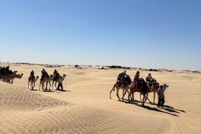 Private Day Trip Ksar Ghilane Oasis