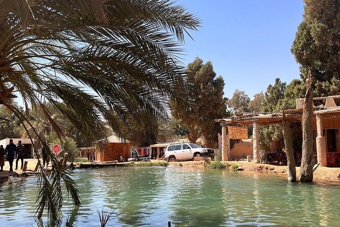 Private Day Trip Ksar Ghilane Oasis - Getting There Comfortably: Pickup, 4x4 Toyota, and Timing