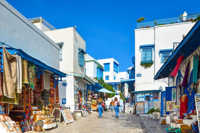 Private Day Trip Tunis Carthage Sidi Bou Said - Tunis return leg: how the last 90 minutes usually feels