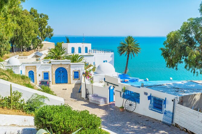 Private Day Trip Tunis Carthage Sidi Bou Said - Price and value: is $149.89 per person a fair deal?