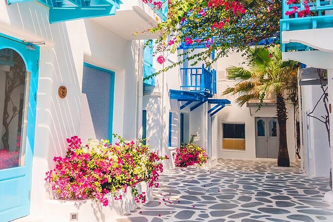 Private Day Trip Tunis Carthage Sidi Bou Said - What your guide can change on the ground, based on real experiences