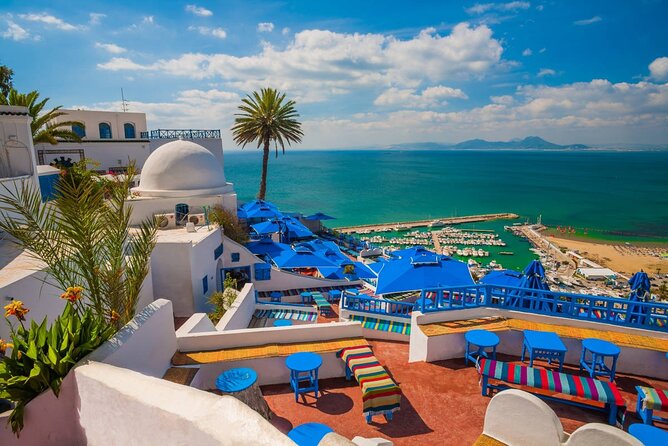 Private Day Trip Tunis Carthage Sidi Bou Said - Carthage ruins and Antonine Baths: what to prioritize in your guided hour