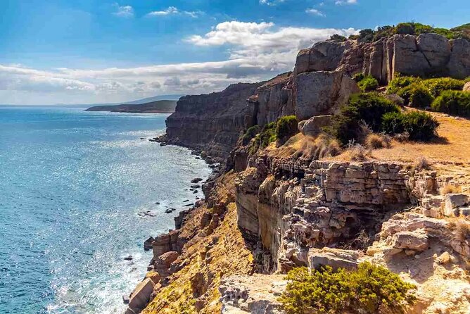 Private Excursion to the Cap Bon Peninsula - Key highlights worth planning for
