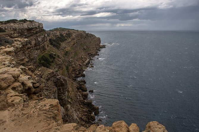 Private Excursion to the Cap Bon Peninsula - Cap Bon in One Morning: How the Route Feels