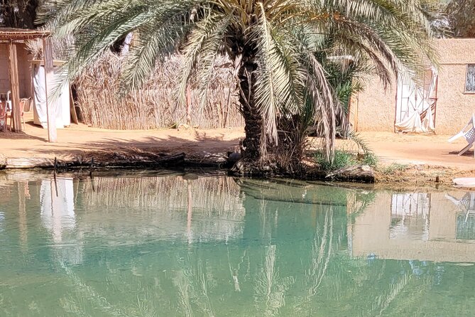 Private getaway in the desert like no other - Day 2: Douz camel market, the gates of the desert, and Matmata troglodyte life
