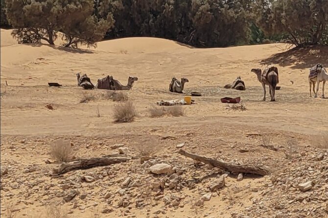 Private getaway in the desert like no other - Escale de Toujane: a quick photo stop that keeps the pace sane