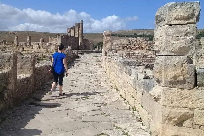 Private Guided Tour of Dougga and Testour Mosque - Aïn Tounga: The Ruins You Get to See Before They Become Famous