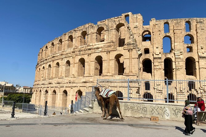 Private Half Day Tour Roman Coliseum EL JEM - Best fit: who should book this El Jem half-day