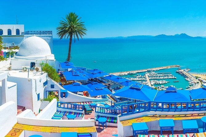 Private Tour Bardo Museum, Carthage, Sidi Bou Said and Medina - Key Highlights Worth Marking On Your Map