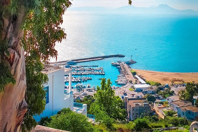 Private Tour Bardo Museum, Carthage, Sidi Bou Said and Medina - Baths of Antoninus: A 30-Minute Roman Break From the Big Ruins