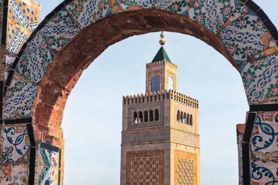 Private Tour Bardo Museum, Carthage, Sidi Bou Said and Medina