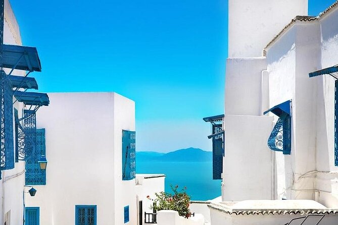 Private tour: Medina,Carthage ,Sidi Bou Said, Bardo Museum+lunch - A Tunis Highlights Day That Actually Feels Manageable