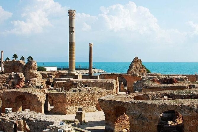 Private tour: Medina,Carthage ,Sidi Bou Said, Bardo Museum+lunch - Carthage Archaeological Site: Roman-Scale Ruins and Real Coastal Views