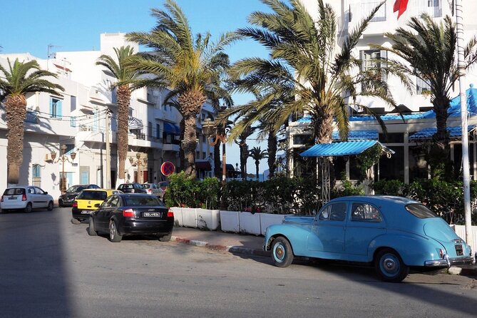 Private tour: Medina,Carthage ,Sidi Bou Said, Bardo Museum+lunch - Guide and Driver Matters: What Makes These Days Feel Smooth