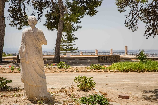 Private Walking Tour of Carthage Archaeological Site in Tunisia - Key Highlights You Will Actually Care About