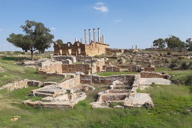 Roman Archeology Guided Tour Thuburbo Majus & Uthina - Price and Value: What You’re Paying for at $140.96