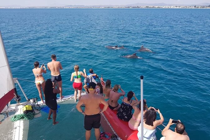 Sea Trip on Catamaran in Hammamet with Transfer - Stop 1: Hammamet for a Quick Port Setup (About 30 Minutes)
