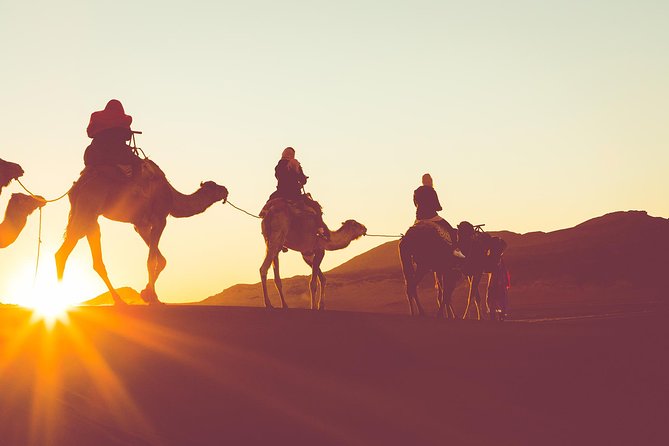 Sunset or Sunrise Camel ride in the Sahara Desert of Douz - Key things to love about the Douz camel safari